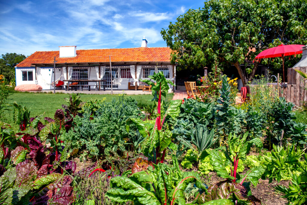 The permaculture vegetable garden that supplies the kitchen at Good Muda